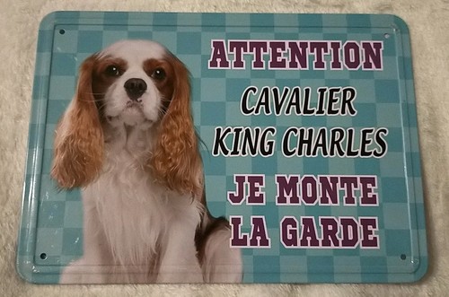 Plaque attention cavalier king - plaque,