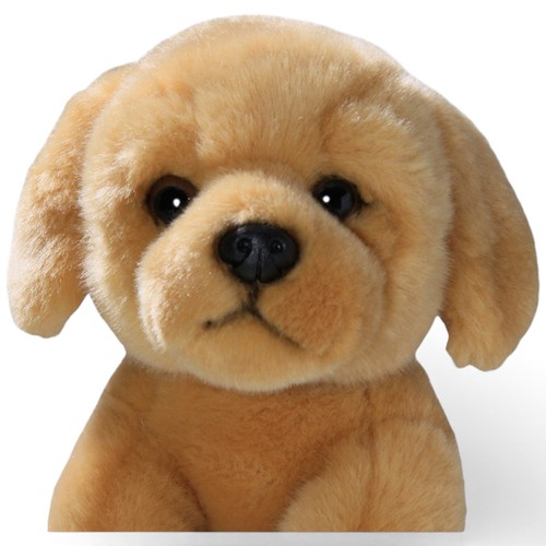 Carl dick golden retriever - golden,
