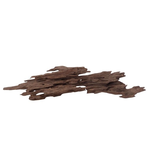 Honey peigne racine - honey, nr.2991
