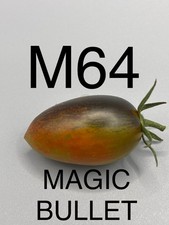 graine / seed tomate taille cocktail variété MAGIC BULLET