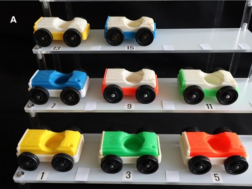 Voiture fisher price little - voiture,