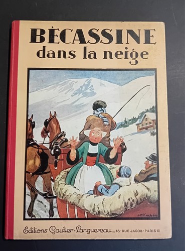 Bécassine dans neige - bécassine,