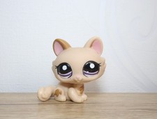 littlest petshop cat sphynx
