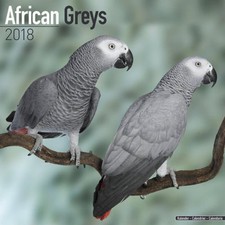 Calendrier 2018 - GRIS DU GABON