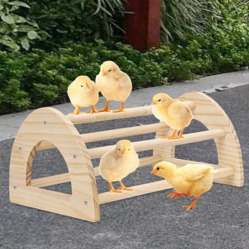 Perchoir pour poussins