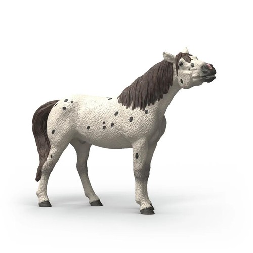 Knabstrupper gelding horse - gelding, by