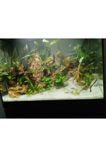aquarium plus meuble