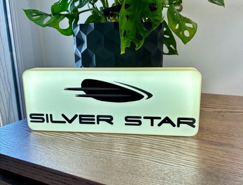 Logo lumineux silver star - lumineux,