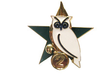 INSIGNE COMMANDO DU GENIE