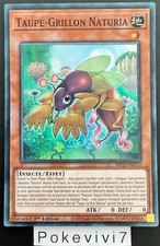 YU-GI-OH! Card NATURIA MP23-FR170 SR CRICKET MOLE NEW