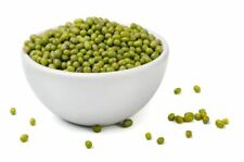 60 graines de HARICOT MUNGO (Vigna radiata)E161 MUNG BEAN SEEDS