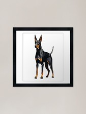 Doberman Black and Tan Framed