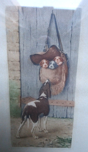 Ancienne gravure chiots - gravure, dans