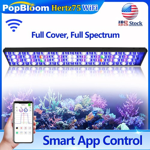 Popbloom h75 wifi - popbloom, led