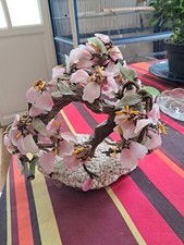 BONSAI cerisier en fleur Verre