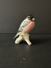 Karl Ens - Bouvreuil pivoine -