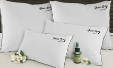 Oreillers à plumes Sampur