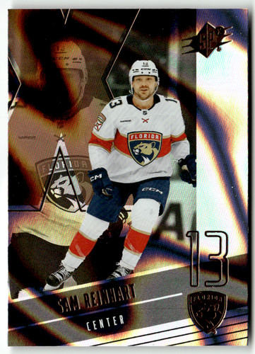 Upper deck spx hockey nhl - spx,