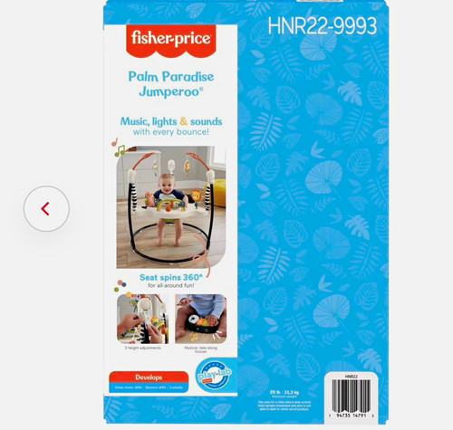 Fisher-Price Palm Paradise