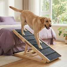 Rampe pour Gros Chien Pliable