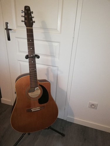 Guitare folk seagull w - guitare,