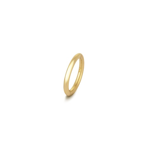 Boucle oreille cartilage - boucle,