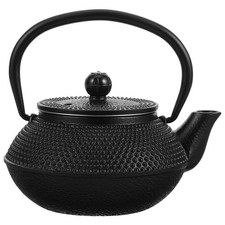  Théière Tetsubin en fonte, théière en fer robuste, bouilloire à thé pour la