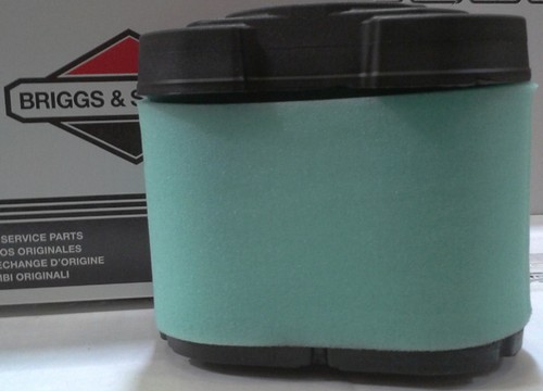 Filtre air briggs - a,