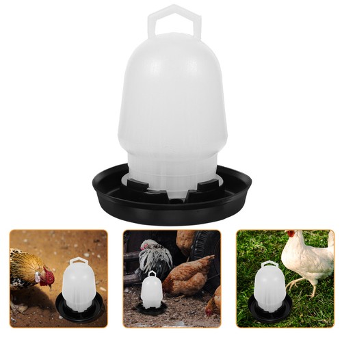 Abreuvoir poulets poules - poulets,