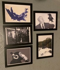 Lot 5 Cadres IKEA avec Photos