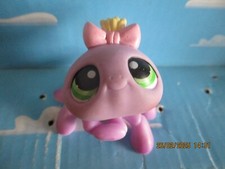 PETSHOP SPIDER N°136 / WITH PINK MAGNET