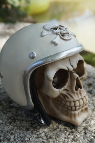Hf1635 tete mort - tete,
