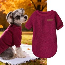 Pull pour chien, confortable