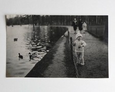 Garçon donne manger canards -