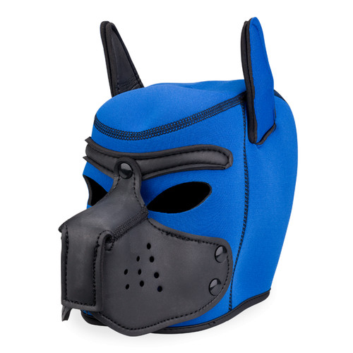 Cagoule chien néoprène - cagoule, de