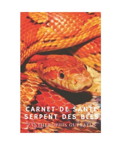 Carnet santé serpent des - carnet,