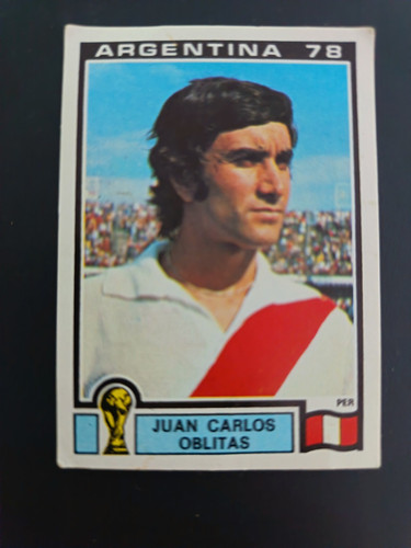 310 juan carlos oblitas - juan,
