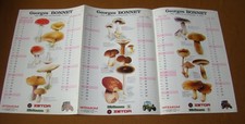 ZETOR HURLIMANN Agricultural Tractor Calendar Mushrooms Flowers 1983 No IH