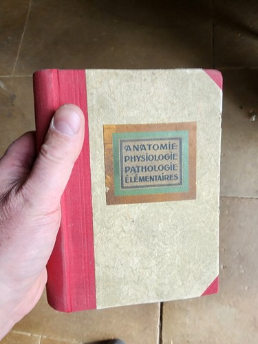 1936 anatomie physiologie - 1936,