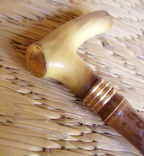 Jolie canne bambou corne - canne, bambou,