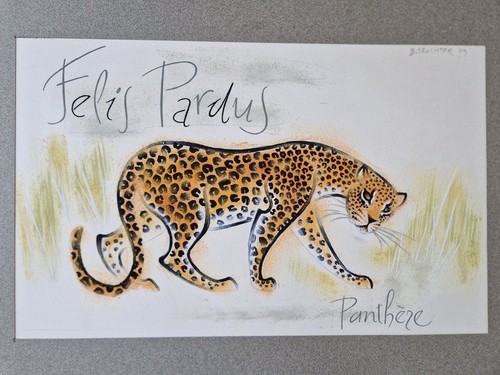 Bruno seuchter dessin la - bruno,