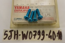 Kit de Vis ergal Protection