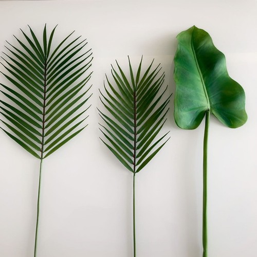 Areca plastique pour - , feuilles