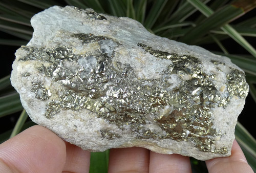 Pyrite dorée fissure - en,