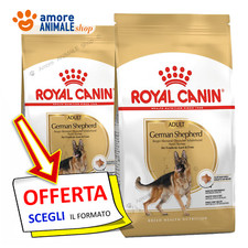 Royal Canin Chien → Adult