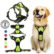 Harnais pour Chien Chiot Nylon