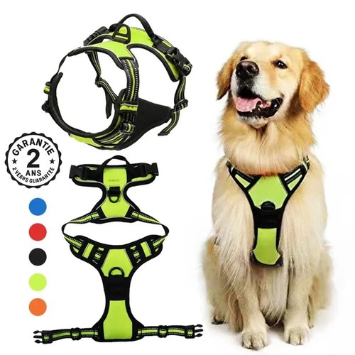 Harnais pour chien - chien, chiot