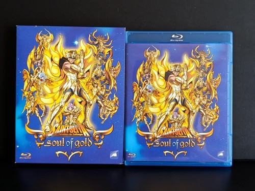 Saint seiya soul god - seiya,