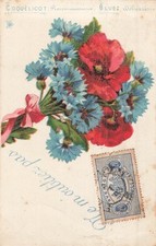 CP ILLUSTRATED POPPY BLUE LANGUAGE FLOWERS - 12401