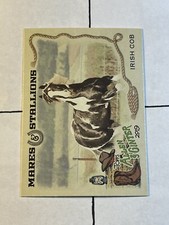 Irish Cob Horse 2019 Topps